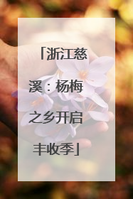 浙江慈溪：杨梅之乡开启丰收季